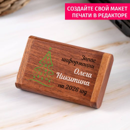 Деревянная флешка в футляре "Запас информации"
