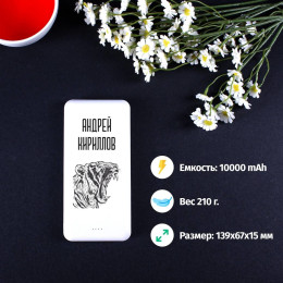 Пауэрбанк Energy именной "Хищник"