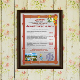 Подарочный диплом (плакетка) *Лучший турагент на свете*