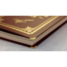 Родословная книга (стандарт)