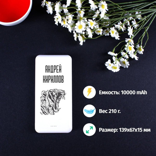 Пауэрбанк Energy именной "Хищник"