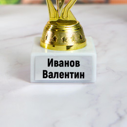 Мини статуэтка Фаворит "Лучший выпускник"