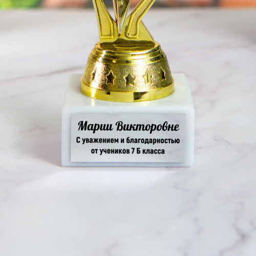 Мини статуэтка Фаворит "Самому лучшему Учителю"